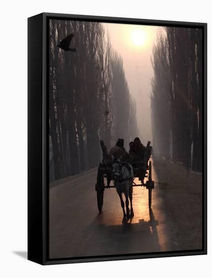 Horse Drawn Cart Makes its Way Toward the Center of the City on a Cold Morning in Srinagar, India-null-Framed Stretched Canvas