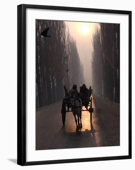 Horse Drawn Cart Makes its Way Toward the Center of the City on a Cold Morning in Srinagar, India-null-Framed Photographic Print