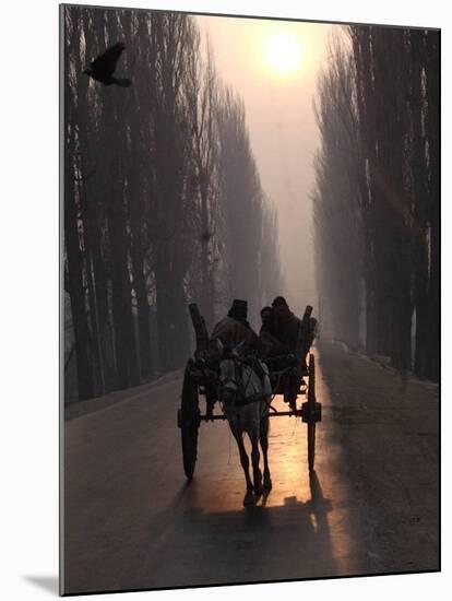 Horse Drawn Cart Makes its Way Toward the Center of the City on a Cold Morning in Srinagar, India-null-Mounted Photographic Print