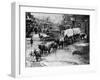 Horse Drawn Covered Wagon-null-Framed Premium Photographic Print