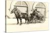 Horse-Drawn Fire Wagon-null-Stretched Canvas