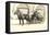 Horse-Drawn Fire Wagon-null-Framed Stretched Canvas