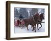 Horse Drawn Sleigh Making for Pontressina in a Snow Storm, in Switzerland, Europe-Woolfitt Adam-Framed Photographic Print