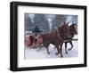 Horse Drawn Sleigh Making for Pontressina in a Snow Storm, in Switzerland, Europe-Woolfitt Adam-Framed Photographic Print