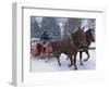 Horse Drawn Sleigh Making for Pontressina in a Snow Storm, in Switzerland, Europe-Woolfitt Adam-Framed Photographic Print