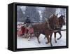 Horse Drawn Sleigh Making for Pontressina in a Snow Storm, in Switzerland, Europe-Woolfitt Adam-Framed Stretched Canvas