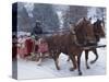 Horse Drawn Sleigh Making for Pontressina in a Snow Storm, in Switzerland, Europe-Woolfitt Adam-Stretched Canvas