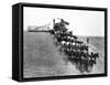 Horse-Drawn Team Wheat Farming-Asahel Curtis-Framed Stretched Canvas