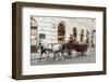 Horse-Drawn Tourist Carriage Near Hofburg, Vienna, Austria-Charles Bowman-Framed Photographic Print