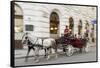 Horse-Drawn Tourist Carriage Near Hofburg, Vienna, Austria-Charles Bowman-Framed Stretched Canvas