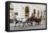 Horse-Drawn Tourist Carriage Near Hofburg, Vienna, Austria-Charles Bowman-Framed Stretched Canvas