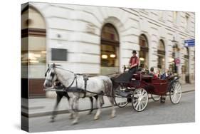 Horse-Drawn Tourist Carriage Near Hofburg, Vienna, Austria-Charles Bowman-Stretched Canvas