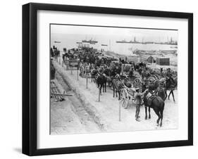 Horse Drawn Transportation, Allied Operations in the Dardanelles, Turkey, 1915-1916-null-Framed Giclee Print