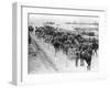 Horse Drawn Transportation, Allied Operations in the Dardanelles, Turkey, 1915-1916-null-Framed Giclee Print