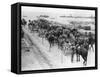 Horse Drawn Transportation, Allied Operations in the Dardanelles, Turkey, 1915-1916-null-Framed Stretched Canvas