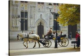 Horse-Drawn Trap, Bruges, Belgium-Tom Ang-Stretched Canvas