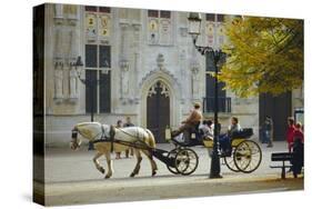 Horse-Drawn Trap, Bruges, Belgium-Tom Ang-Stretched Canvas