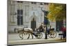 Horse-Drawn Trap, Bruges, Belgium-Tom Ang-Mounted Photographic Print