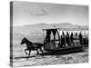 Horse Drawn Trolley in Downtown, Along Gulf of Izmir-Alfred Eisenstaedt-Stretched Canvas