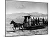 Horse Drawn Trolley in Downtown, Along Gulf of Izmir-Alfred Eisenstaedt-Mounted Photographic Print