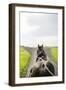 Horse Drawn-Karyn Millet-Framed Photographic Print
