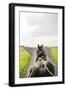 Horse Drawn-Karyn Millet-Framed Photographic Print