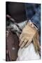 Horse drive in winter on Hideout Ranch, Shell, Wyoming. Cowboy detail on saddle.-Darrell Gulin-Stretched Canvas