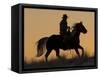Horse drive in winter, Shell, Wyoming. Cowboy riding his horse in snow, silhouetted at sunset.-Darrell Gulin-Framed Stretched Canvas