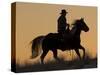 Horse drive in winter, Shell, Wyoming. Cowboy riding his horse in snow, silhouetted at sunset.-Darrell Gulin-Stretched Canvas