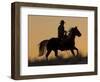 Horse drive in winter, Shell, Wyoming. Cowboy riding his horse in snow, silhouetted at sunset.-Darrell Gulin-Framed Photographic Print