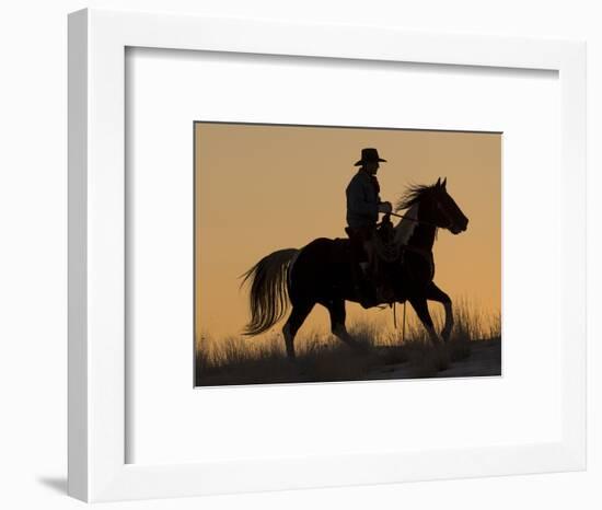 Horse drive in winter, Shell, Wyoming. Cowboy riding his horse in snow, silhouetted at sunset.-Darrell Gulin-Framed Photographic Print