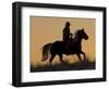 Horse drive in winter, Shell, Wyoming. Cowboy riding his horse in snow, silhouetted at sunset.-Darrell Gulin-Framed Photographic Print