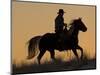 Horse drive in winter, Shell, Wyoming. Cowboy riding his horse in snow, silhouetted at sunset.-Darrell Gulin-Mounted Photographic Print