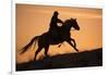 Horse drive in winter, Shell, Wyoming. Cowboy riding his horse silhouetted at sunset.-Darrell Gulin-Framed Photographic Print