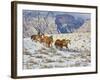 Horse Drive, Shell, Wyoming, USA-Terry Eggers-Framed Photographic Print