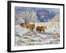 Horse Drive, Shell, Wyoming, USA-Terry Eggers-Framed Photographic Print