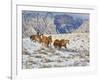 Horse Drive, Shell, Wyoming, USA-Terry Eggers-Framed Photographic Print