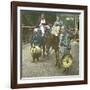 Horse-Driver, Japan, 1900-1905-Leon, Levy et Fils-Framed Photographic Print