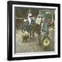 Horse-Driver, Japan, 1900-1905-Leon, Levy et Fils-Framed Photographic Print