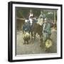 Horse-Driver, Japan, 1900-1905-Leon, Levy et Fils-Framed Photographic Print