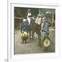 Horse-Driver, Japan, 1900-1905-Leon, Levy et Fils-Framed Photographic Print