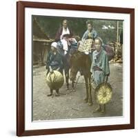 Horse-Driver, Japan, 1900-1905-Leon, Levy et Fils-Framed Photographic Print