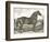 Horse Etching I-Gwendolyn Babbitt-Framed Art Print