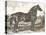 Horse Etching I-Gwendolyn Babbitt-Stretched Canvas