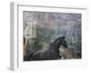 Horse Exposures I-Susan Friedman-Framed Art Print