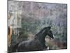 Horse Exposures I-Susan Friedman-Mounted Art Print