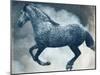 Horse Exposures III-Susan Friedman-Mounted Art Print