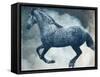 Horse Exposures III-Susan Friedman-Framed Stretched Canvas