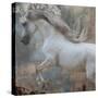 Horse Exposures IV-Susan Friedman-Stretched Canvas