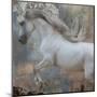 Horse Exposures IV-Susan Friedman-Mounted Art Print
